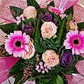 Fleurs V.