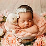 Harret Eloise joined the competition — help win amazing prizes! baby, sleeping, plush_toy, lamb, flower, blanket, headband, infant, closeup, cute, soft_texture, peaceful, resting, pink, decor, portrait, newborn, child, indoor, adorable