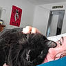 cat, black_cat, person, face, indoor, bedroom, poster, hand, snuggling, fur, close_up, cozy, relaxed, cuddling, eyebrow, hair, door, sign, television, furniture
