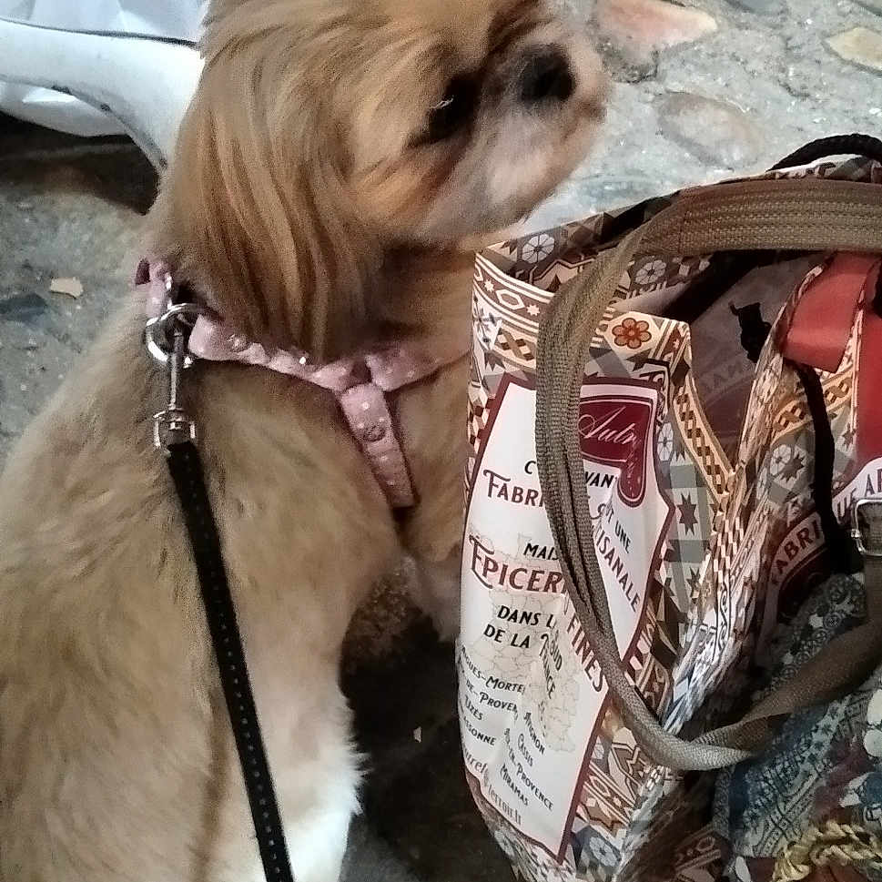 Lilou