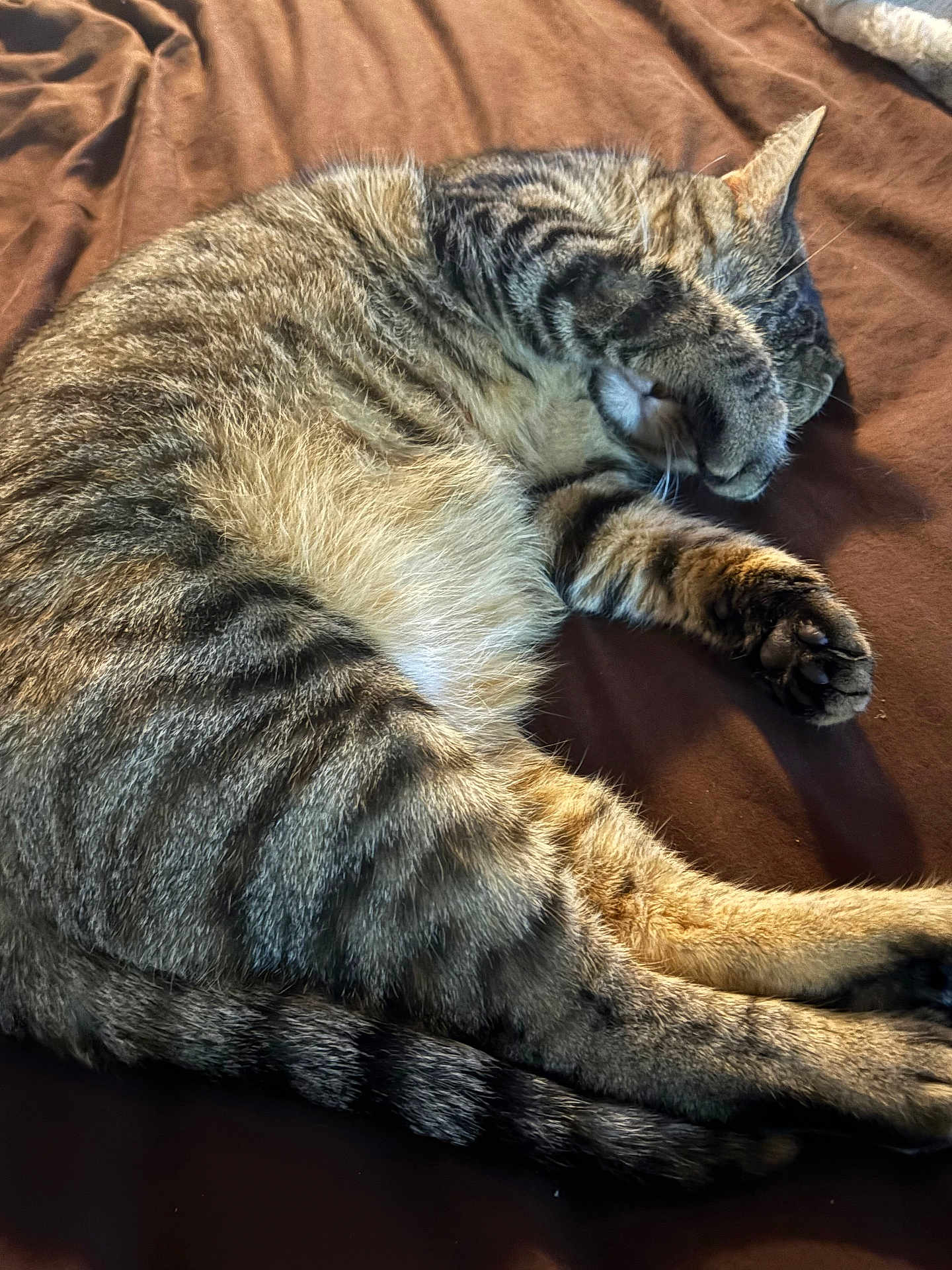 Luna