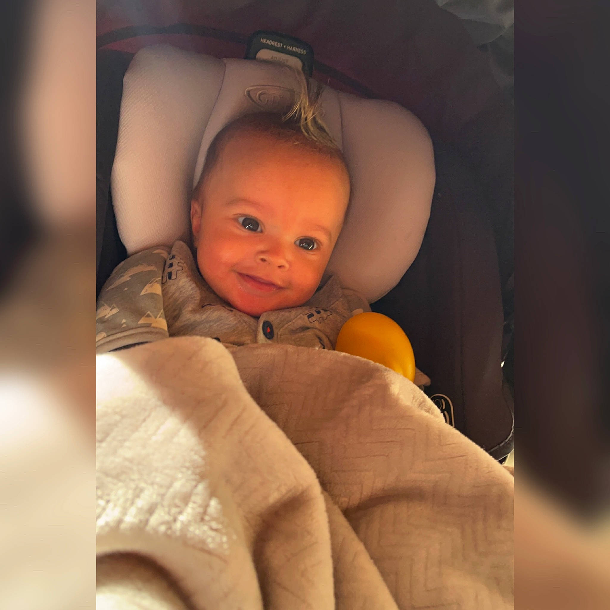 Dante joined the competition — help win amazing prizes! auto_part, automotive_design, baby, car_seat, car_seat_cover, cheek, child, comfort, family_car, flash_photography, head_restraint, linens, nose, orange, peach, person, room, sitting, skin, sleeve