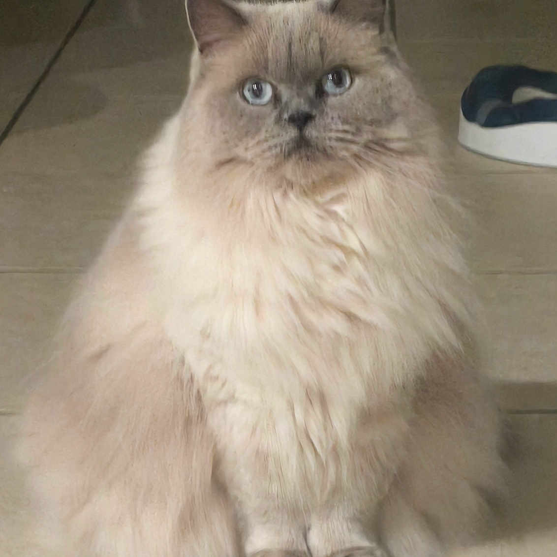 Rubi