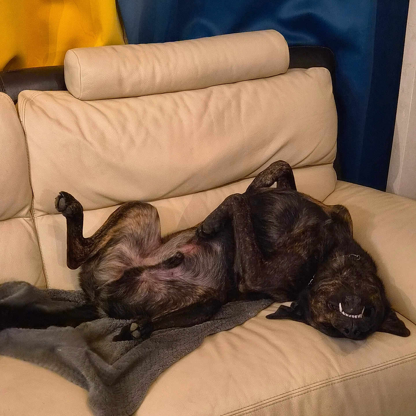 Sam