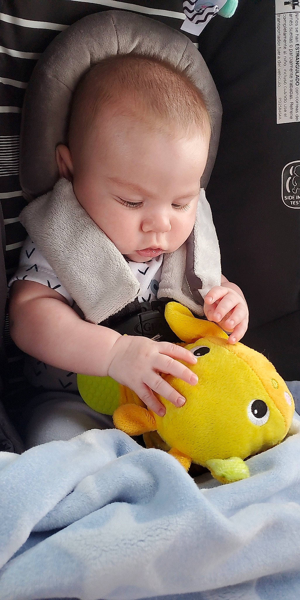 Lorenzo joined the competition — help win amazing prizes! baby, cheek, child, eye, face, head, mouth, person, play, plush, skin, stuffed_toy, toddler, toy, yellow