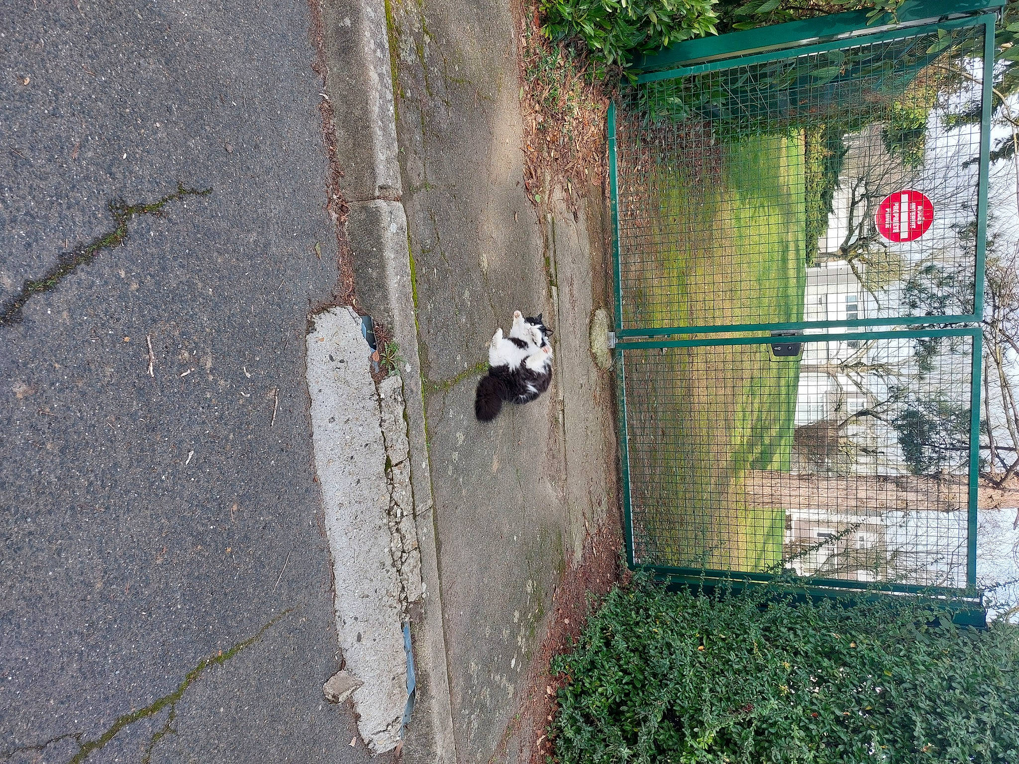 Perlimpimpin participe au concours pour gagner de l'argent avec cette photo : art, asphalt, chain_link_fencing, composite_material, concrete, facade, fence, grass, mesh, plant, road, road_surface, shadow, sidewalk, soil, tar, tree, urban_design, wire_fencing, wood