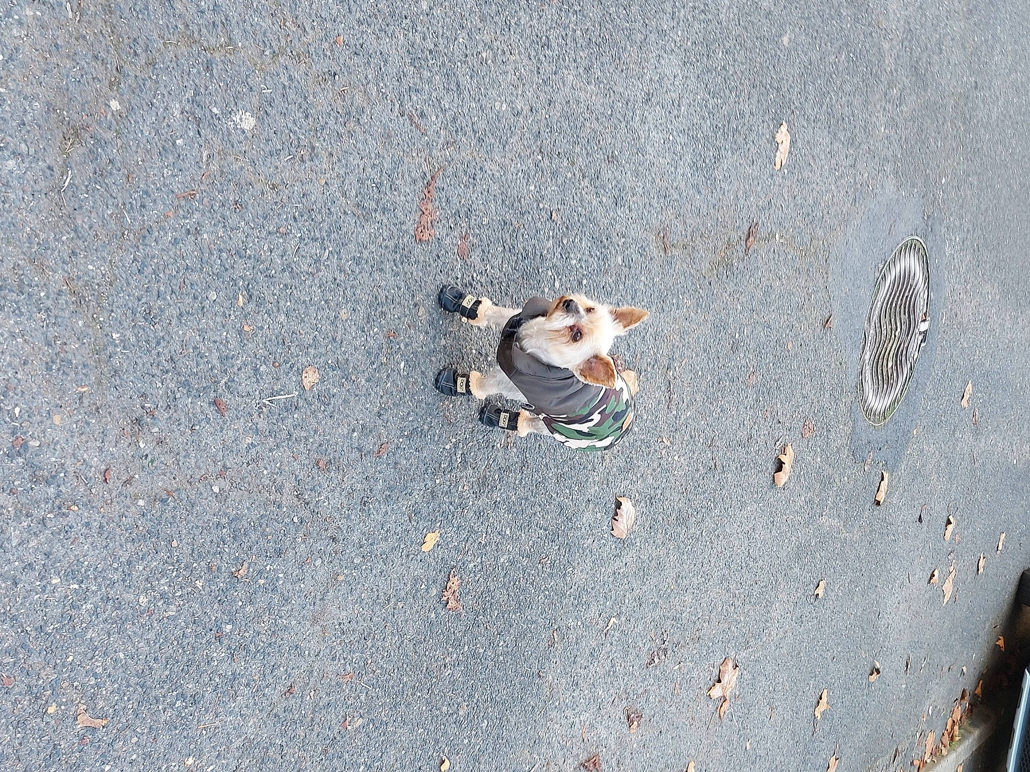 Etoile participe au concours pour gagner de l'argent avec cette photo : asphalt, circle, city, concrete, road, road_surface, sand, shadow, sidewalk, soil, tar, wood