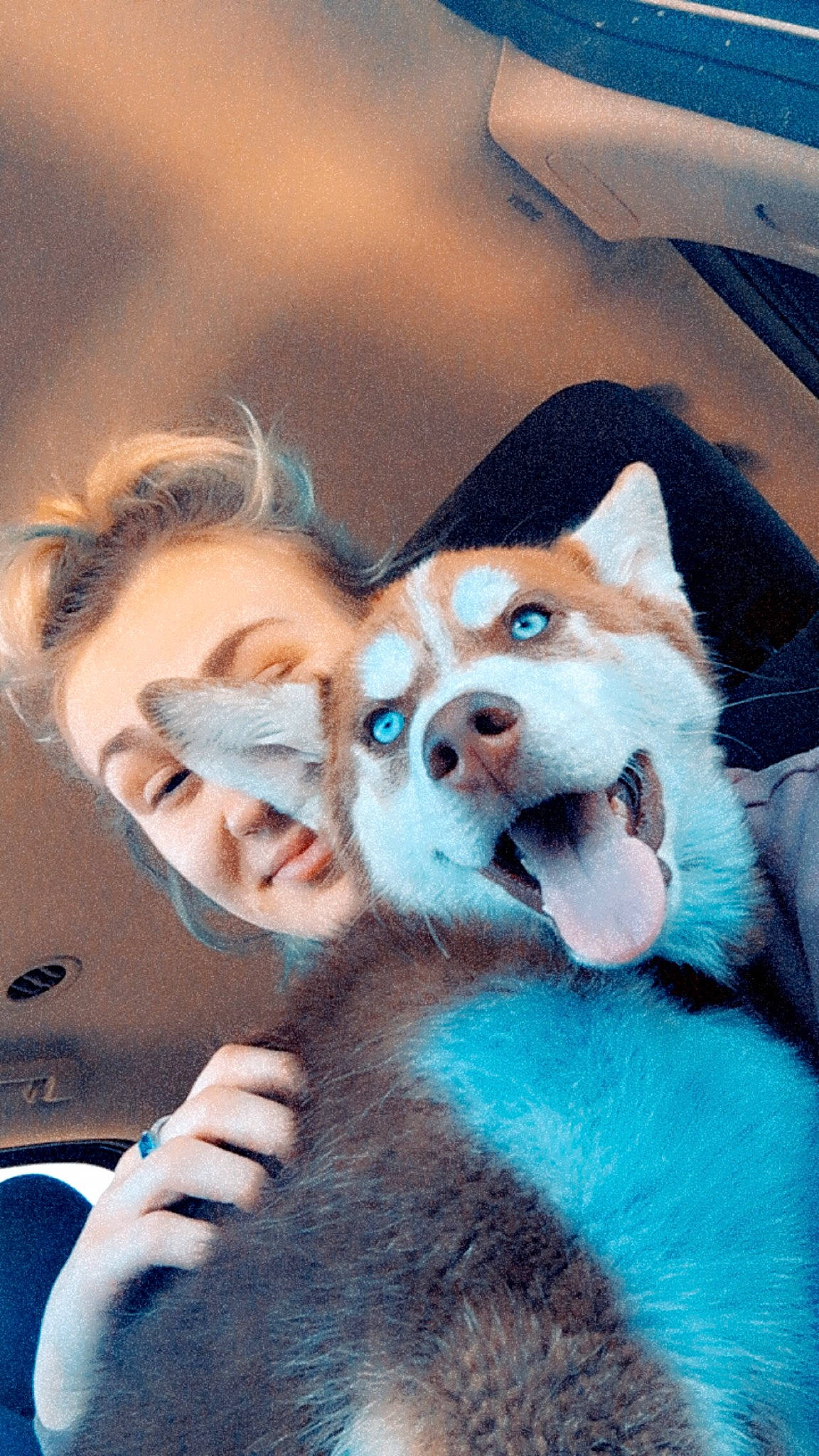 Axel is registered to the contest to win money with this photo: carnivore, companion_dog, dog_breed, eyewear, fawn, felidae, fun, fur, gesture, happy, plush, selfie, small_to_medium_sized_cats, snout, spitz, stuffed_toy, sunglasses, toy, vertebrate, whiskers