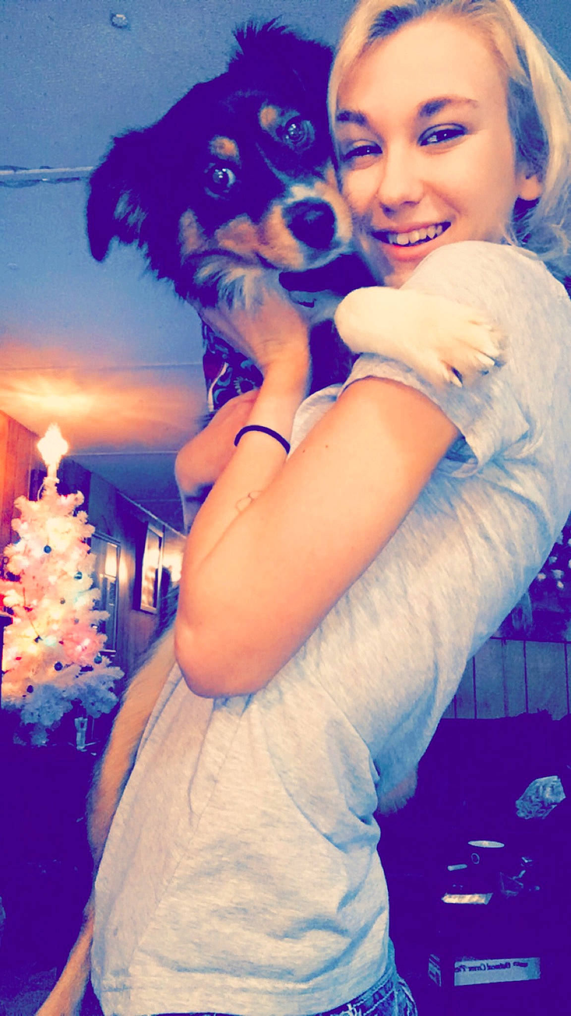 Dakoda joined the competition — help win amazing prizes! black_hair, bracelet, brown_hair, carnivore, companion_dog, cool, dog, dog_breed, electric_blue, event, flash_photography, fun, gesture, happy, interaction, jewellery, light, long_hair, people_in_nature, smile