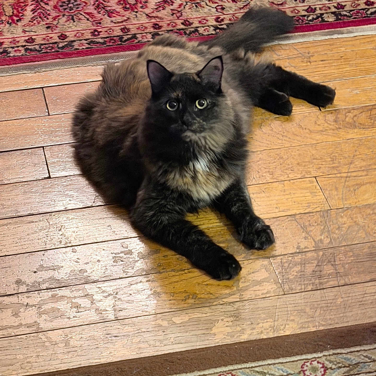 Denali