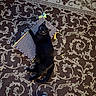 Aloura joined the competition — help win amazing prizes! animal, black_cat, carpet, cat, colorful, cozy, cute, domestic, feline, floor, footwear, home, indoor, patterned_carpet, pet, relaxed, scratching_pad, shoe, sneaker, toy