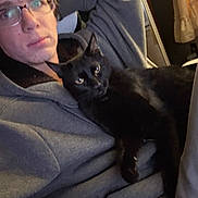 Aloura is registered to the contest to win money with this photo: animal, black_cat, casual, cat, comfort, companion, couch, cozy, face, feline, glasses, home, hoodie, indoor, person, pet, portrait, relaxing, seated, warm_lighting