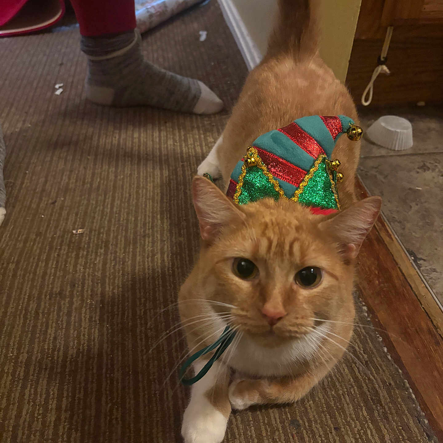 Nala