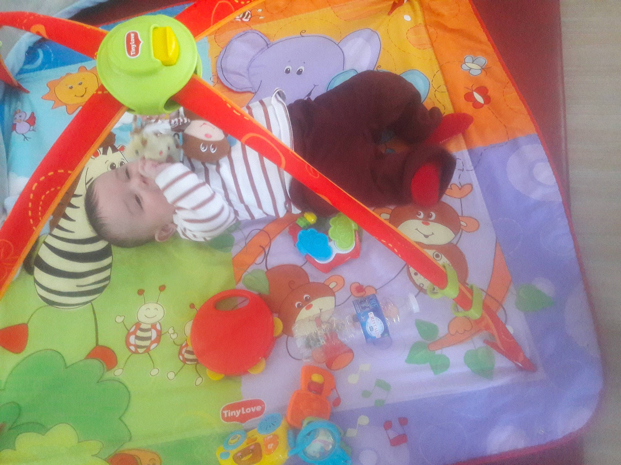 Ismail a rejoint le concours — aidez-le/la à gagner de superbes lots ! art, baby, baby_products, baby_toddler_clothing, baby_toys, child, event, fun, linens, orange, pattern, person, plastic, play, playmat, room, stuffed_toy, textile, toddler, toy