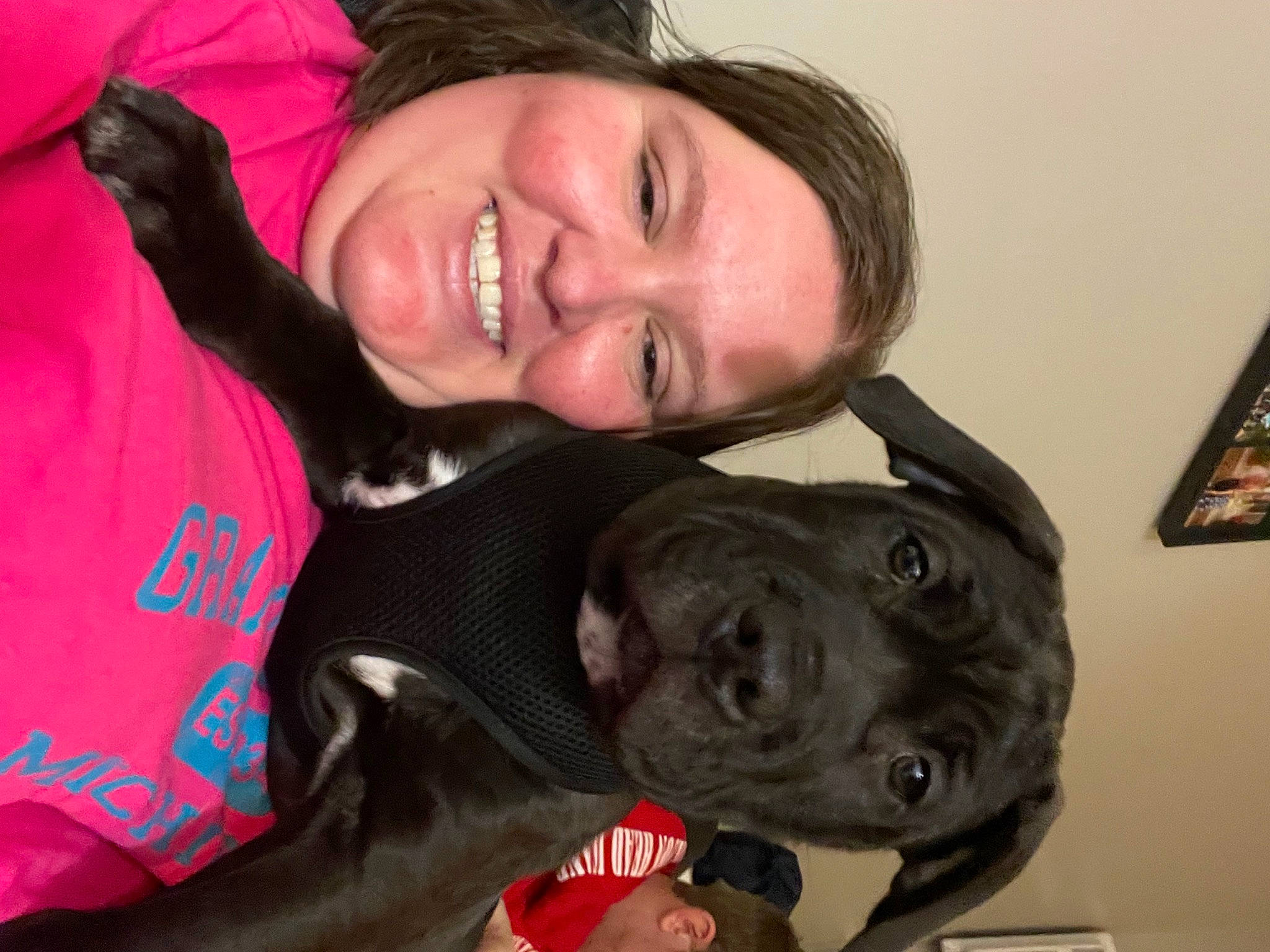 Bailey joined the competition — help win amazing prizes! canidae, carnivore, comfort, companion_dog, dog, dog_breed, ear, fawn, fur, gesture, guard_dog, happy, jaw, mouth, organ, smile, snout, sporting_group, vertebrate, whiskers