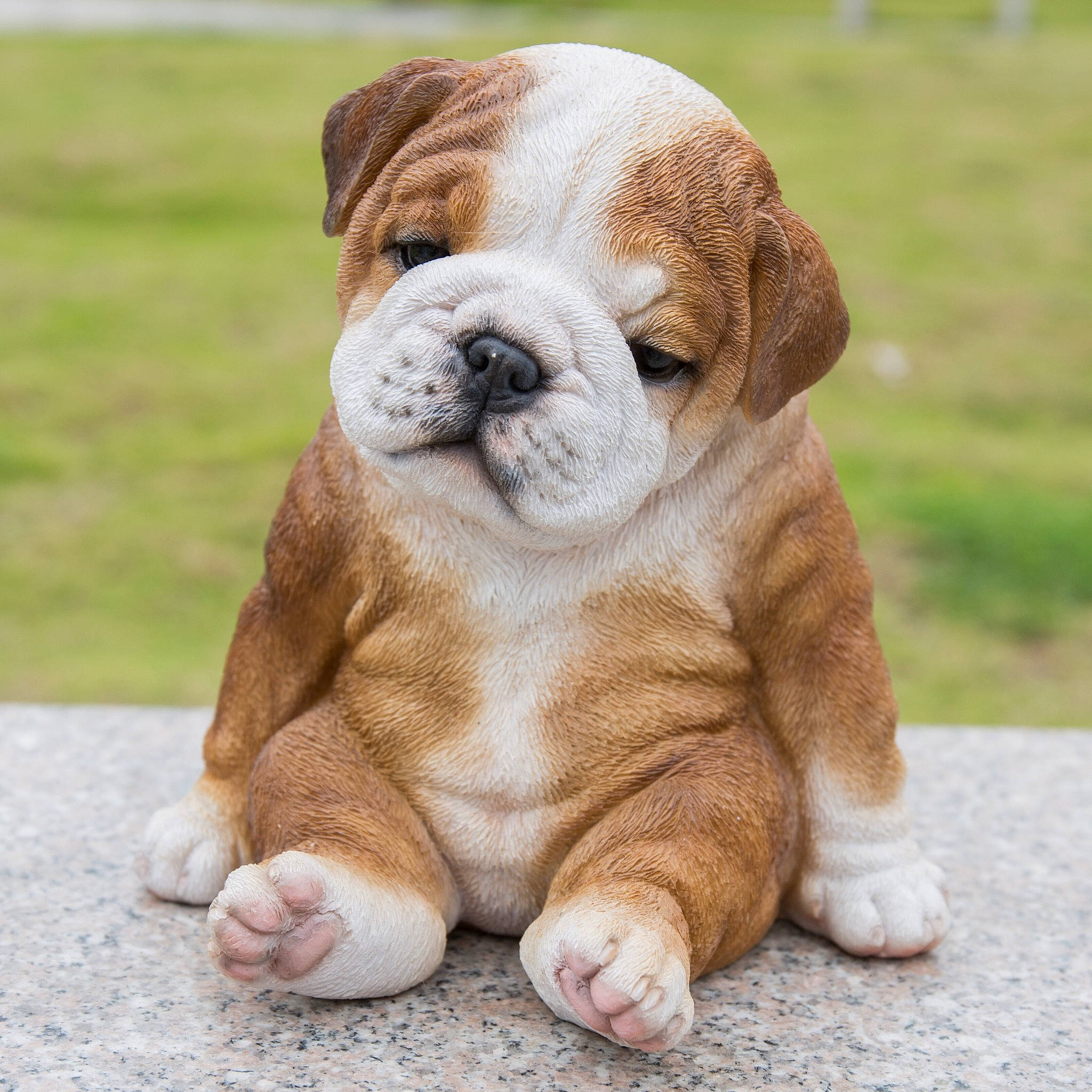 Bow is registered to the contest to win money with this photo: australian_bulldog, british_bulldogs, bulldog, canidae, carnivore, companion_dog, dog, dog_breed, mammal, old_english_bulldog, olde_english_bulldogge, puppy, puppy_love, renascence_bulldogge, skin, snout, toy_bulldog, vertebrate, white_english_bulldog, wrinkle