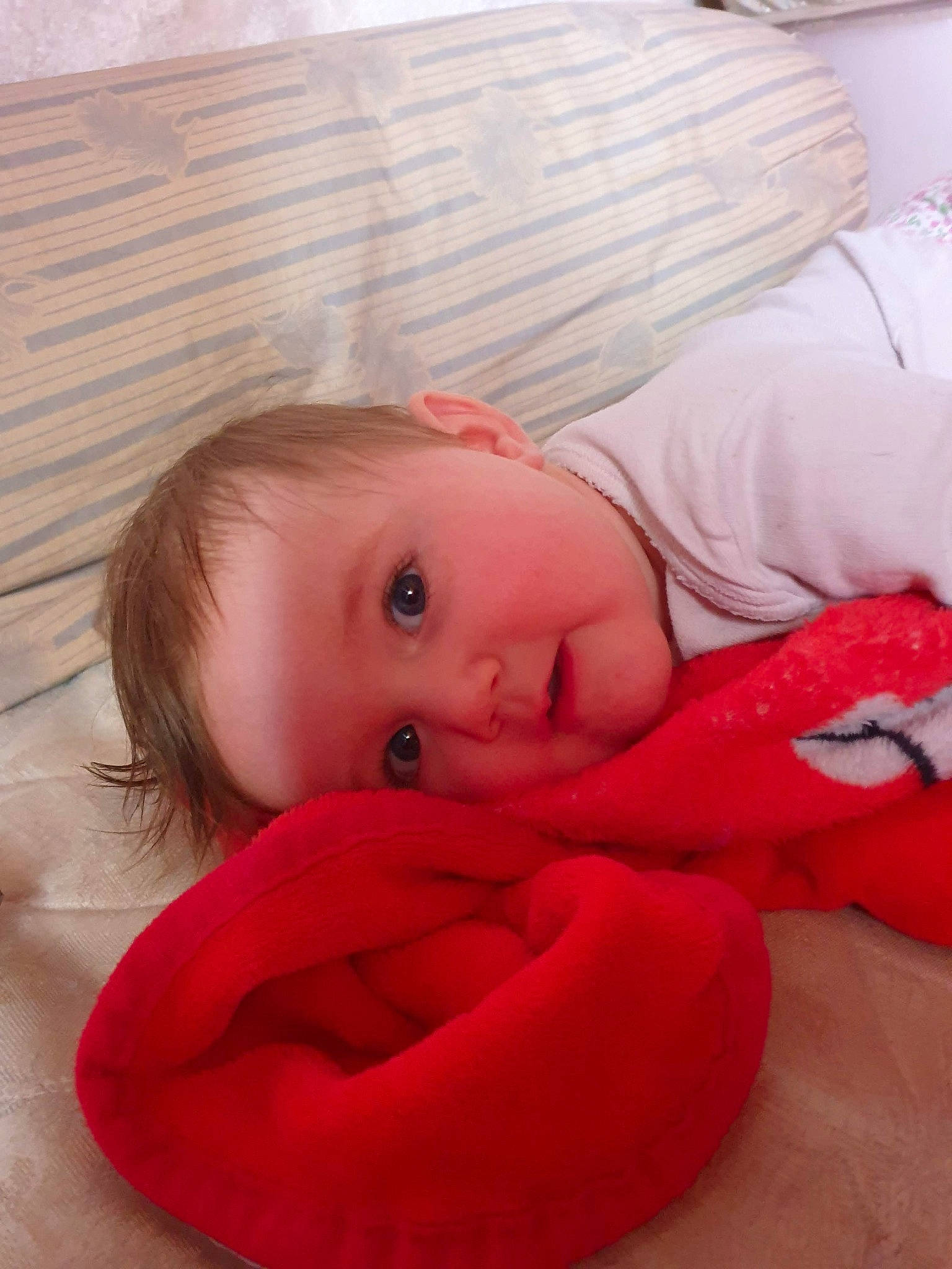 Roxanne participe au concours pour gagner de l'argent avec cette photo : baby, cheek, child, face, lip, mouth, neck, person, skin, toddler