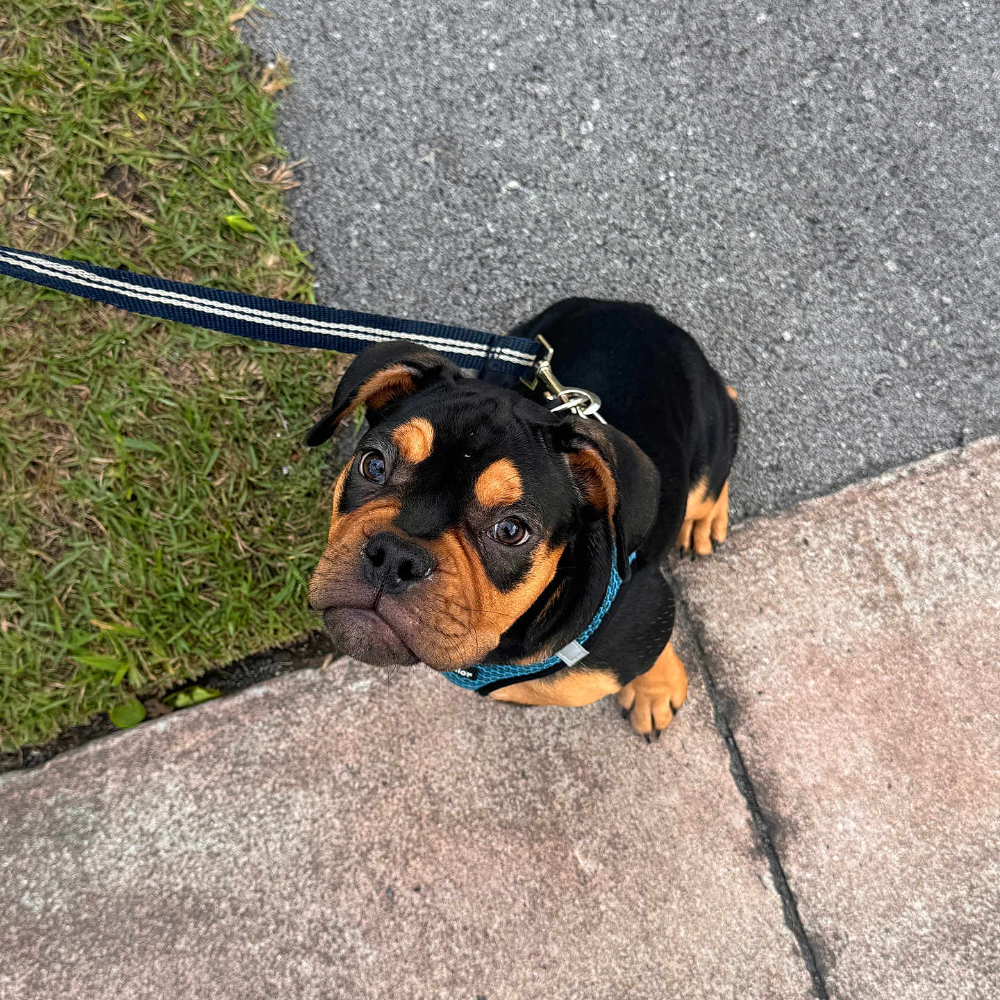 Romeo