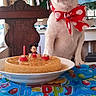Roma joined the competition — help win amazing prizes! dog, white_dog, bow_tie, birthday_cake, mickey_mouse_candle, tablecloth, birthday, celebration, indoor, chair, table, pet, cute, decorations, party, animal, festive, polka_dot, red_bow, cake