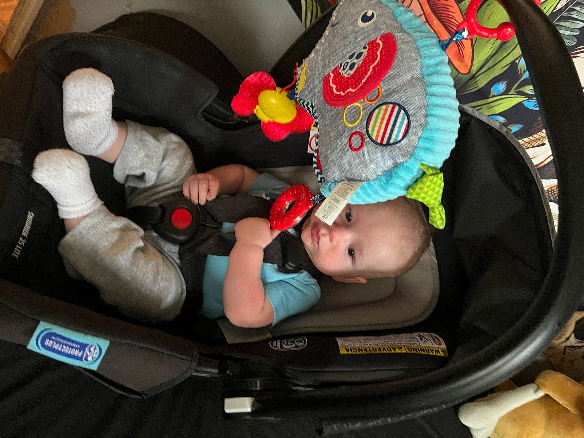 Logan is registered to the contest to win money with this photo: auto_part, baby, baby_carriage, baby_in_car_seat, baby_products, baby_safety, baby_toddler_clothing, car_seat, child, comfort, family_car, fashion_accessory, fictional_character, fun, person, personal_protective_equipment, service, steering_wheel, toddler, vehicle_door