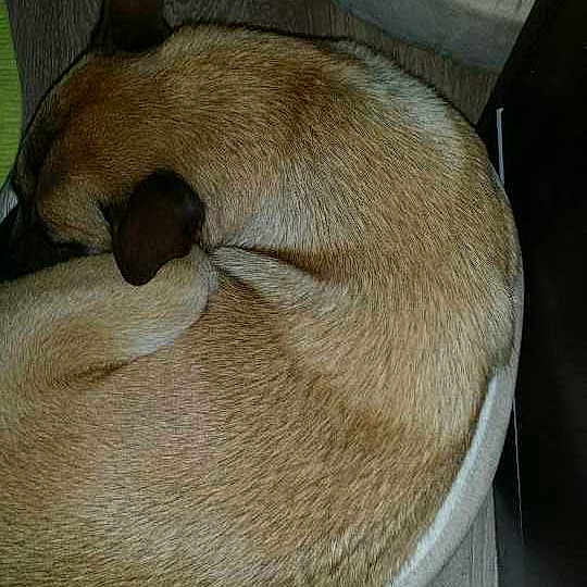 Helia participe au concours pour gagner de l'argent avec cette photo :