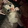 Fred