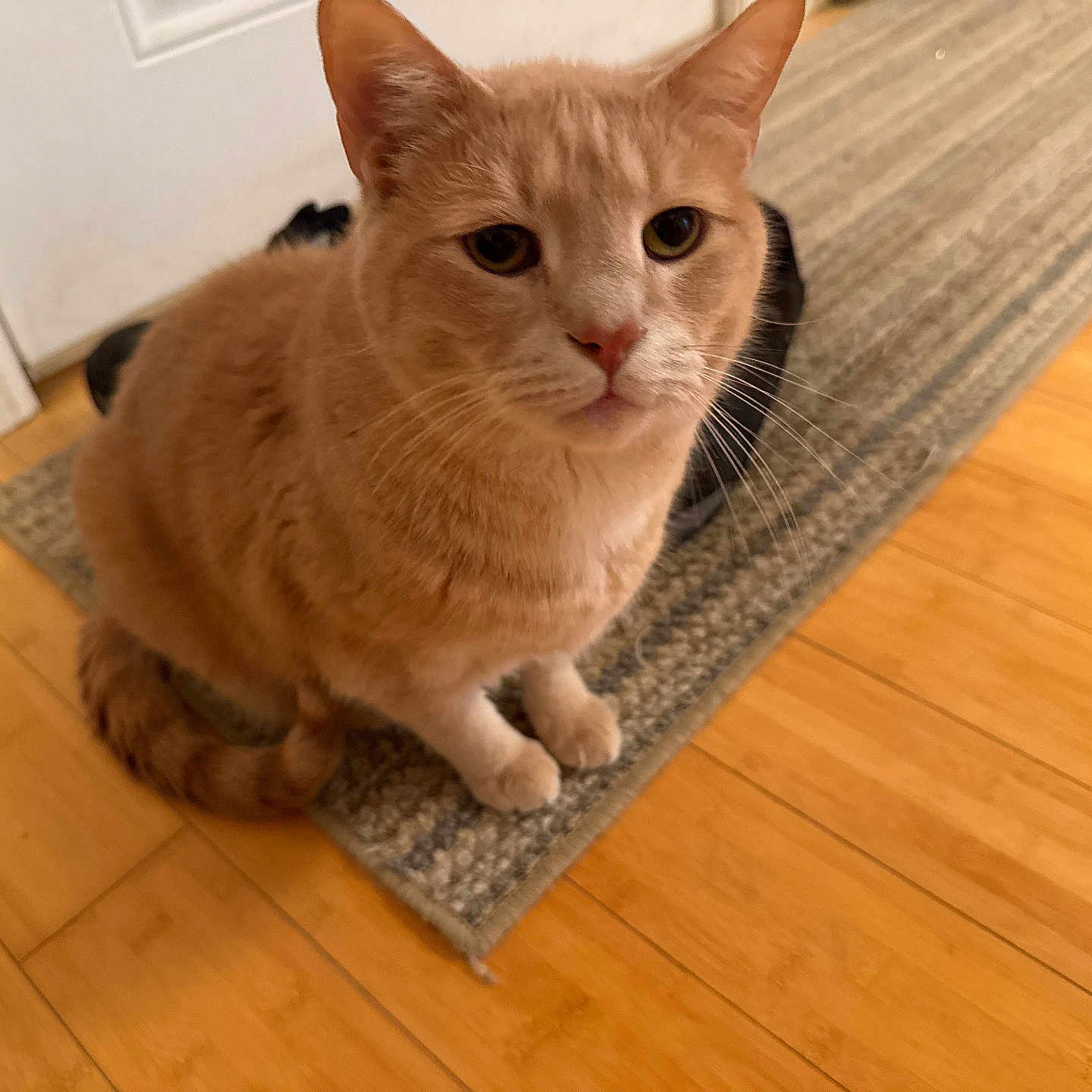 Tom