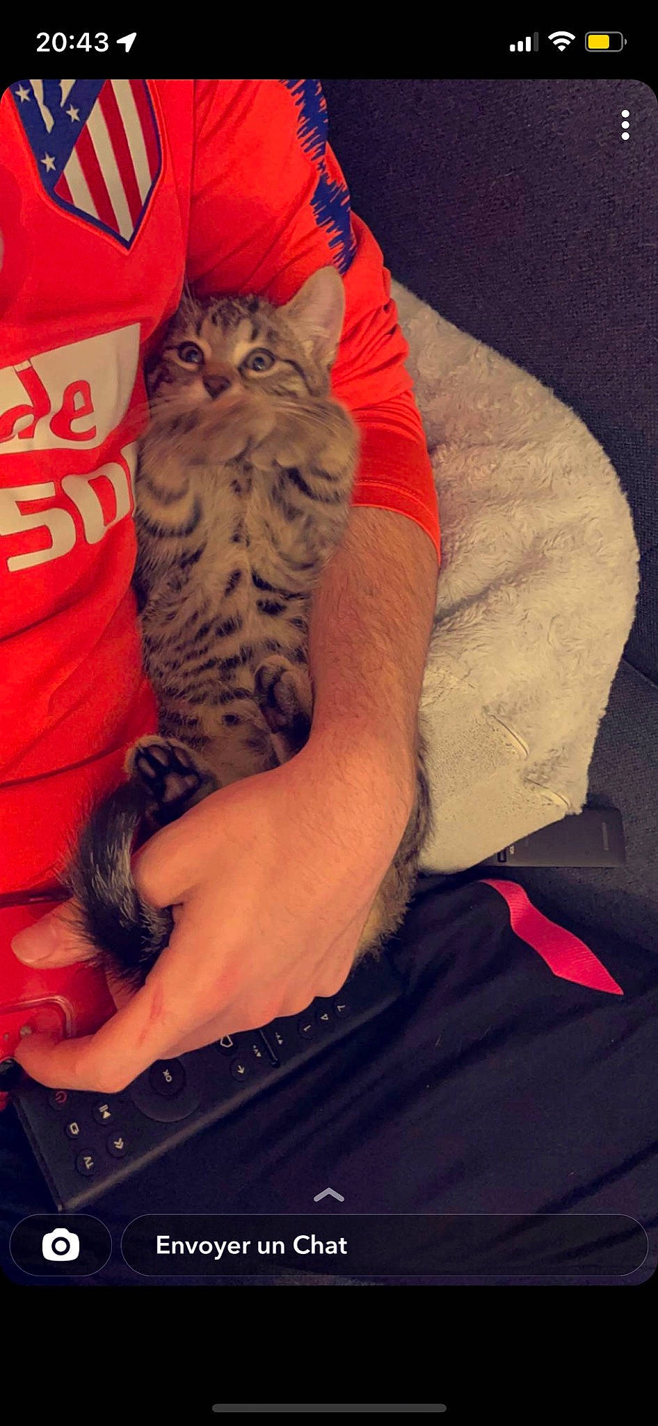 Onix participe au concours pour gagner de l'argent avec cette photo : carnivore, cat, comfort, elbow, felidae, foot, hand, human_leg, nail, orange, red, sleeve, small_to_medium_sized_cats, sportswear, t_shirt, tattoo, textile, thigh, trunk, whiskers