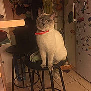 Light participe au concours pour gagner de l'argent avec cette photo :