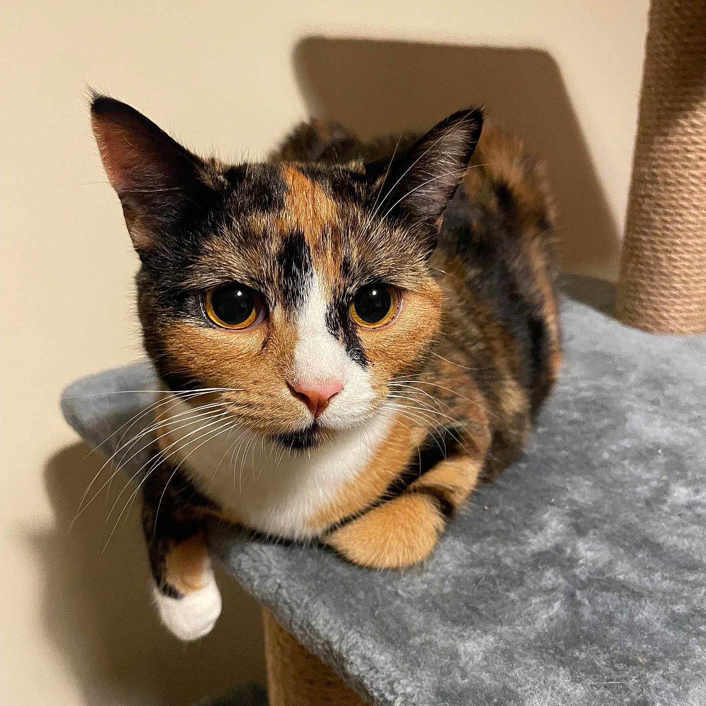 Luna