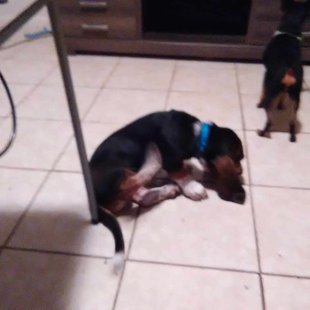 Buster