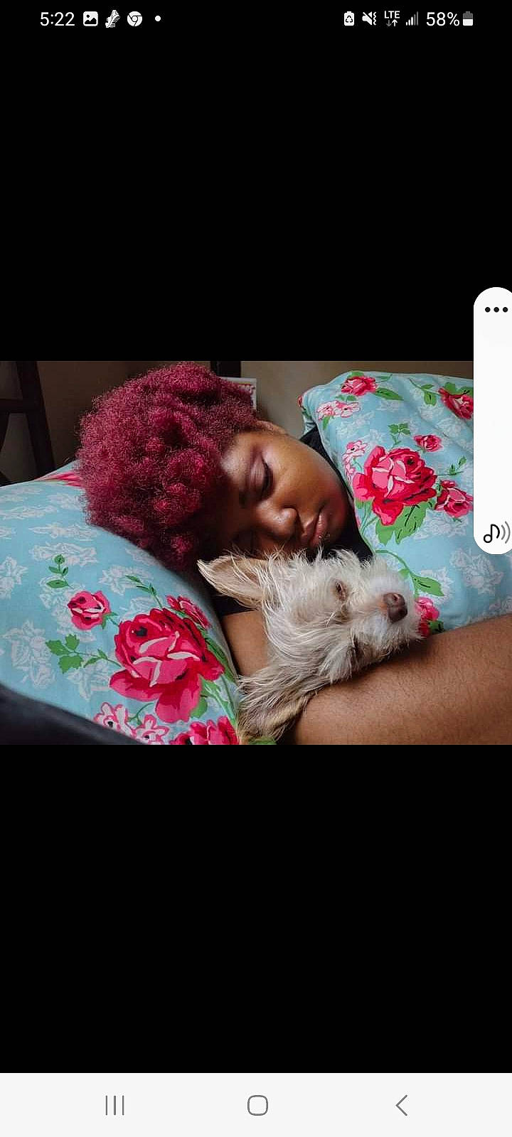Cutie Pie is registered to the contest to win money with this photo: beard, beauty, child, comfort, companion_dog, flesh, font, fur, happy, linens, love, magenta, pattern, petal, photo_caption, pink, romance, room, selfie, textile