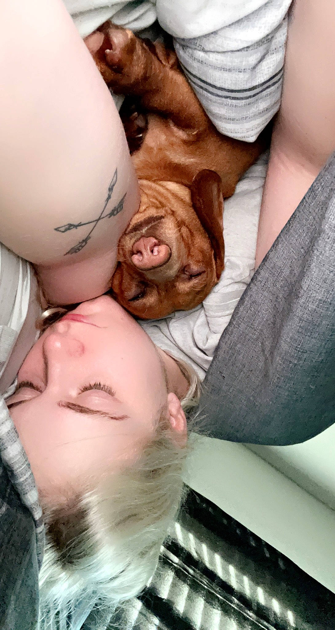 Lacy is registered to the contest to win money with this photo: cheek, chin, comfort, ear, eyebrow, eyelash, facial_expression, forehead, hair, joint, lip, mammal, mouth, muscle, neck, nose, organ, shoulder, skin, textile