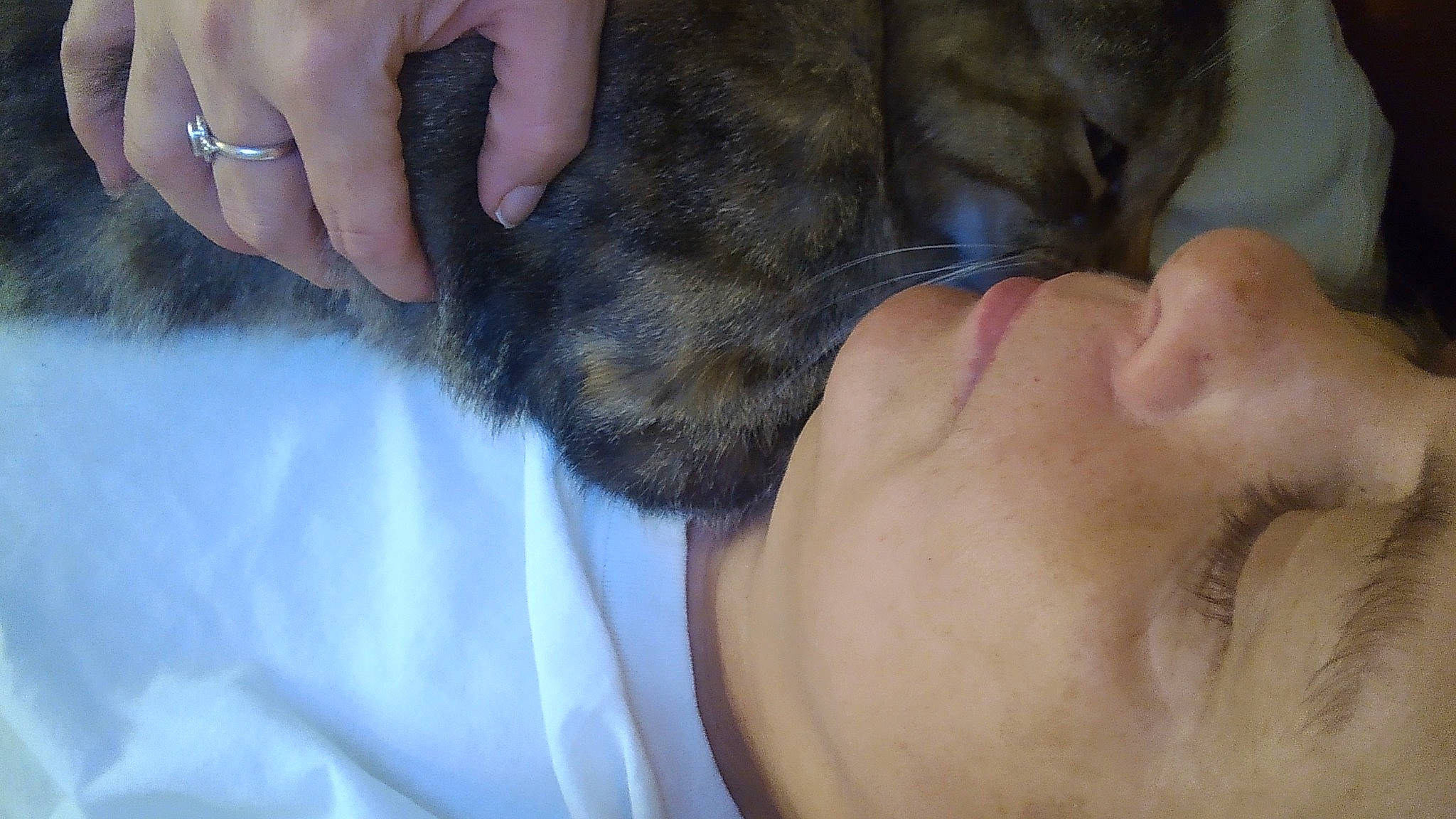 Metalleisha is registered to the contest to win money with this photo: carnivore, comfort, companion_dog, dog, dog_breed, ear, eyelash, fawn, finger, foot, fur, gesture, glasses, hair, hand, nail, snout, thumb, wrinkle, wrist