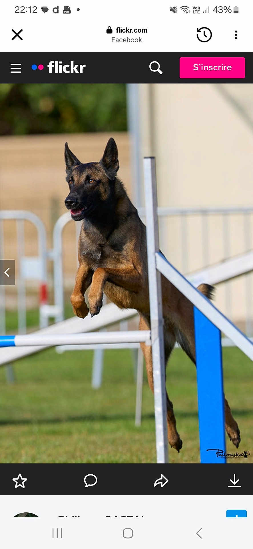 Toons participe au concours pour gagner de l'argent avec cette photo : dog, jumping, agility_course, outdoor, grass, animal, sport, exercise, canine, fence, active, pet, brown, black, ears_up, focused, motion, training, field, leap