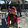Edis D.