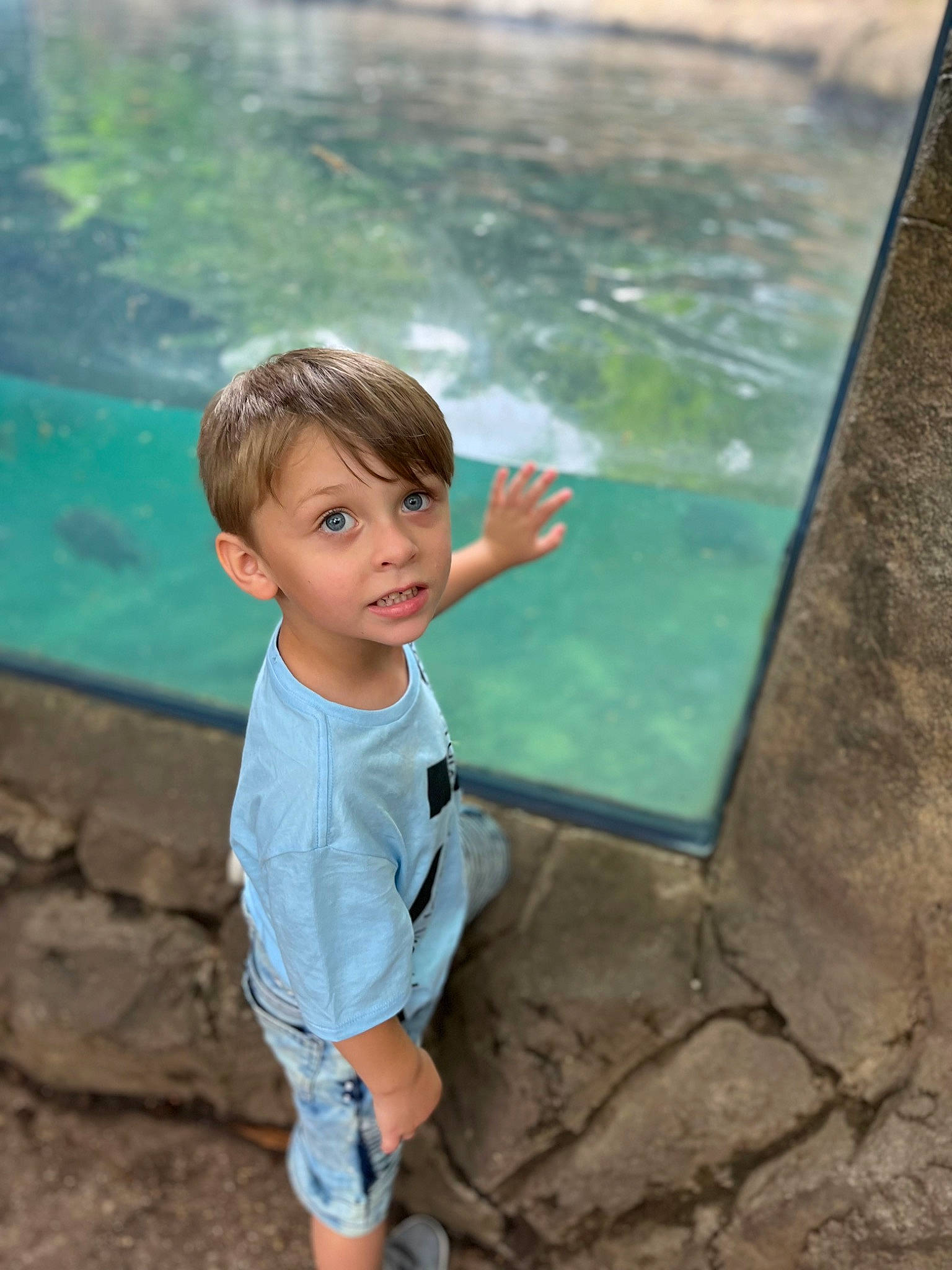 Kobe is registered to the contest to win money with this photo: azure, child, flash_photography, fun, glass, grass, happy, leisure, ocean, people_in_nature, person, play, recreation, shorts, summer, t_shirt, toddler, tourism, tree, vacation