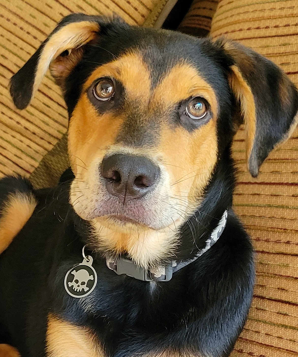 Zeus