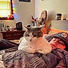 cat, person, bed, blanket, hat, indoor, window, string_lights, lamp, furniture, poster, flower_vase, wooden_furniture, pillow, relaxing, resting, sleepy, cozy, pet, casual