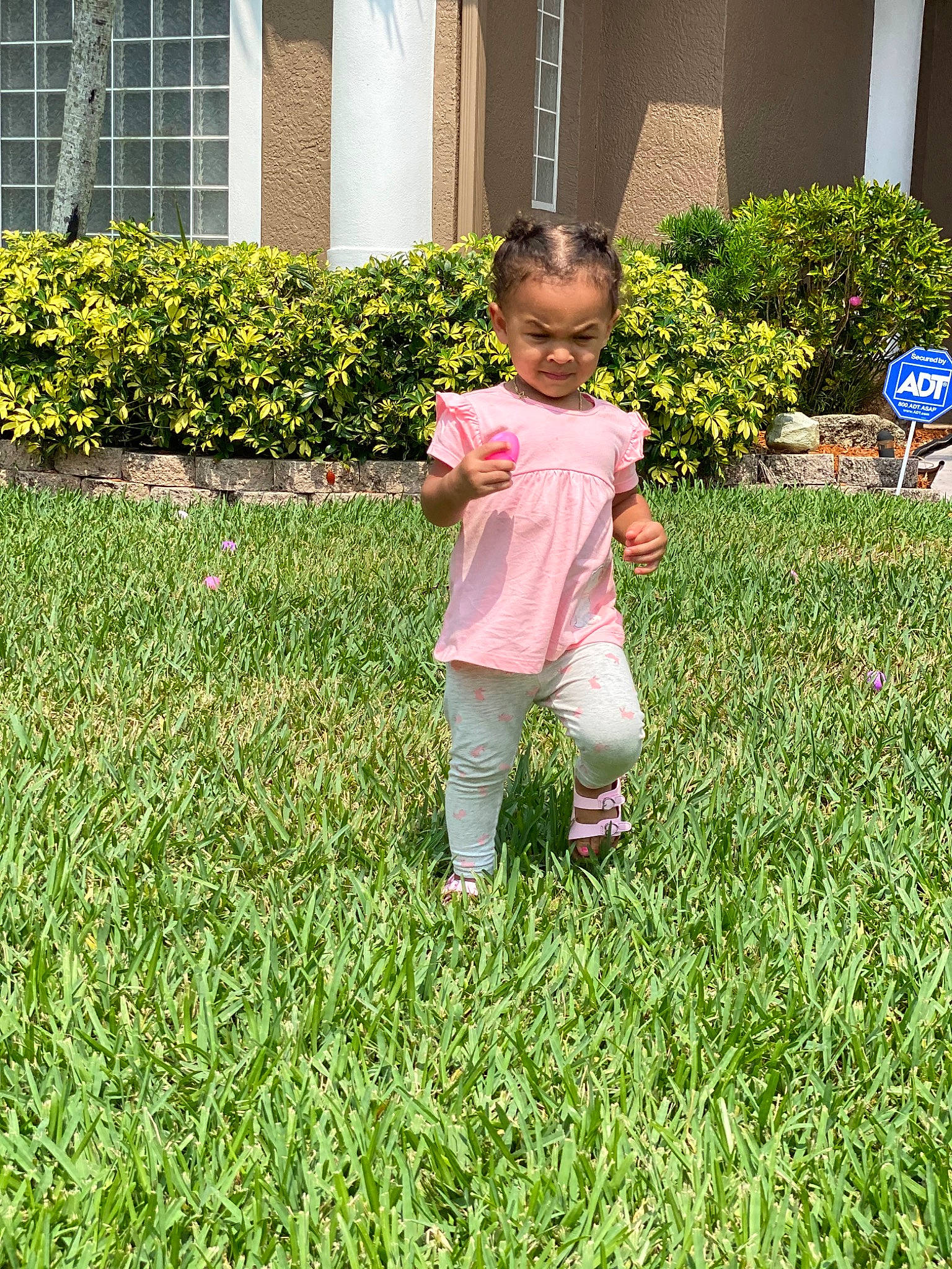 Taliyah is registered to the contest to win money with this photo: backyard, child, garden, grass, grass_family, green, groundcover, lawn, leaf, meadow, person, plant, play, shrub, summer, toddler, yard