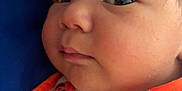 Colson joined the competition — help win amazing prizes! baby, infant, face, closeup, bib, halloween, pumpkins, bats, spiders, orange, green, black, blue_background, cute, expression, child, clothing, portrait, lying_down, skin
