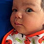 baby, infant, face, closeup, bib, halloween, pumpkins, bats, spiders, orange, green, black, blue_background, cute, expression, child, clothing, portrait, lying_down, skin