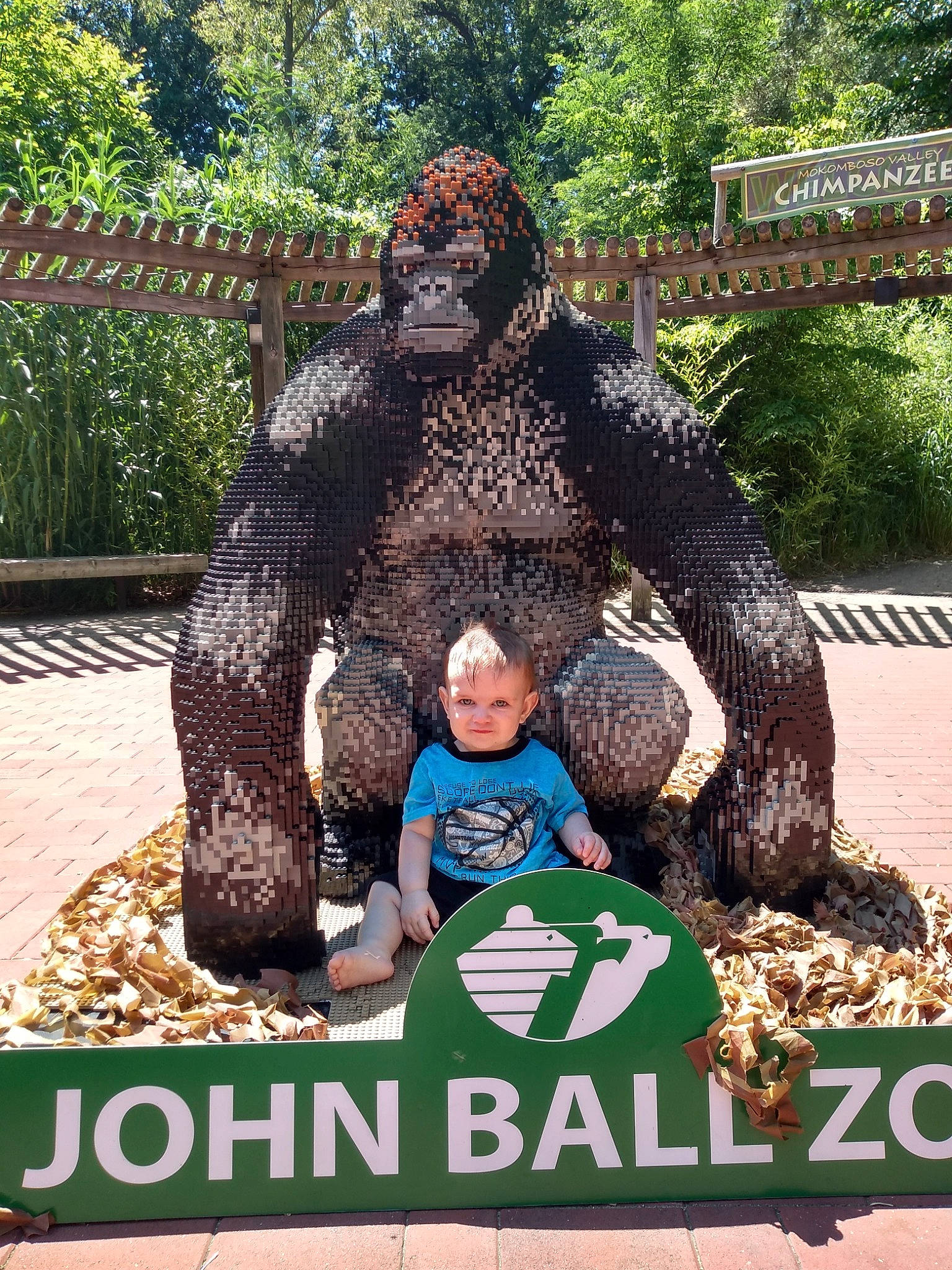 David joined the competition — help win amazing prizes! adaptation, art, grass, nonbuilding_structure, person, plant, recreation, sculpture, statue, tree, world