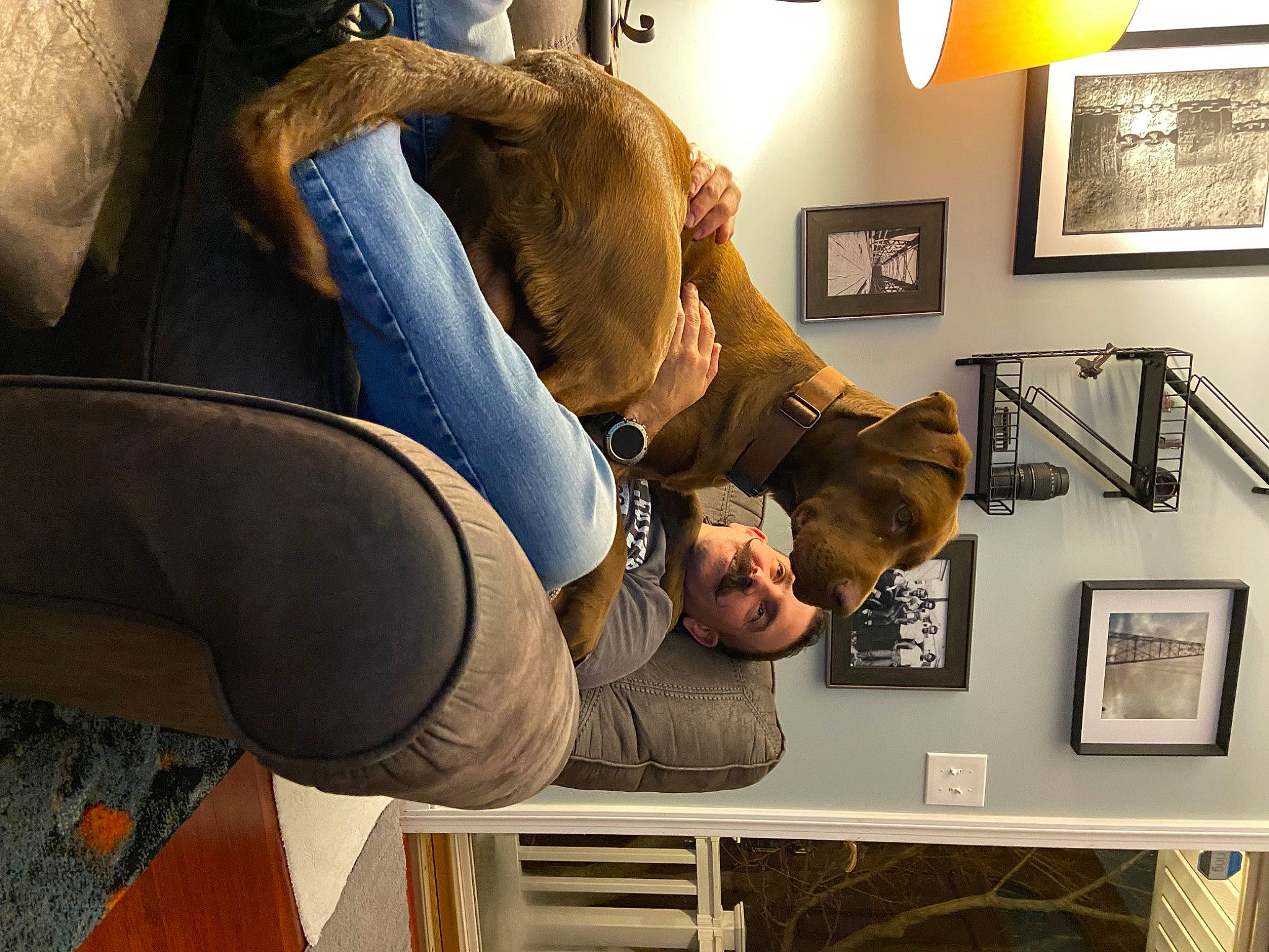 Copper joined the competition — help win amazing prizes! art, collection, comfort, couch, eyewear, flooring, fur, hat, human_leg, knee, lamp, living_room, picture_frame, room, sitting, suit, thigh, visual_arts, wood, wrist