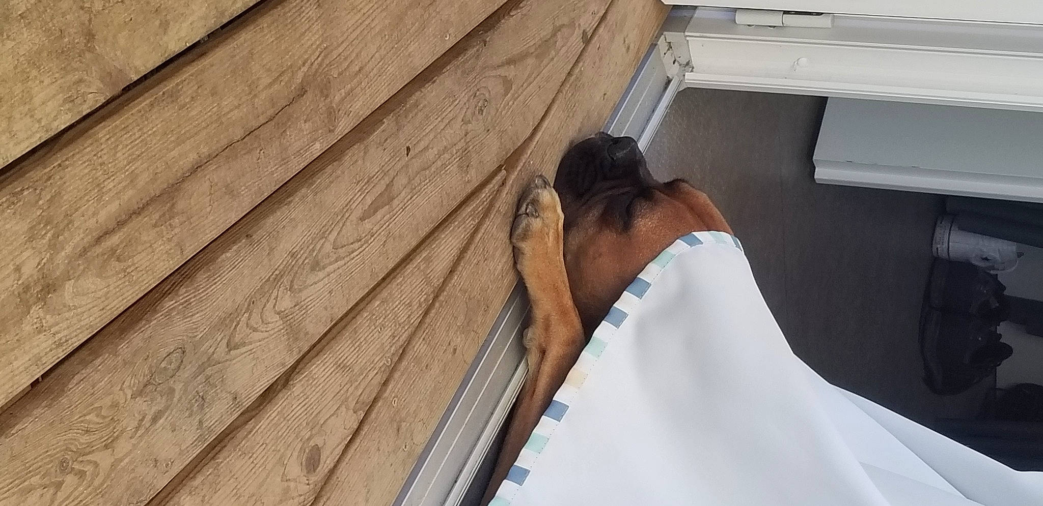 Tayson a rejoint le concours — aidez-le/la à gagner de superbes lots ! beam, ceiling, elbow, floor, flooring, hardwood, human_leg, laminate_flooring, lumber, pattern, plank, plywood, roof, room, siding, sunglasses, wall, wood, wood_flooring, wood_stain