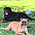 Tayson