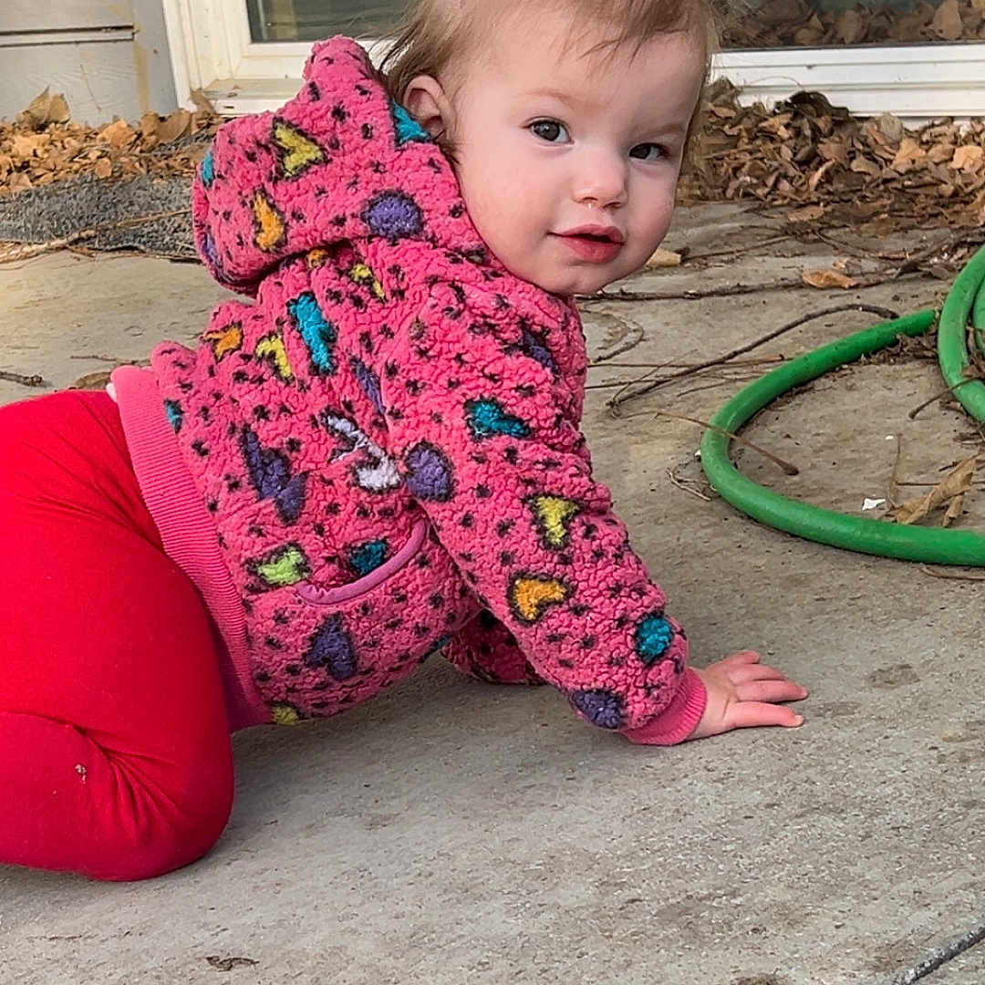 Elena is registered to the contest to win money with this photo: toddler, child, hoodie, pink, red_pants, crawling, concrete, outdoor, garden_hose, window, leaves, curly_hair, face, person, playful, casual_clothing, pigtails, daylight, expression, sidewalk