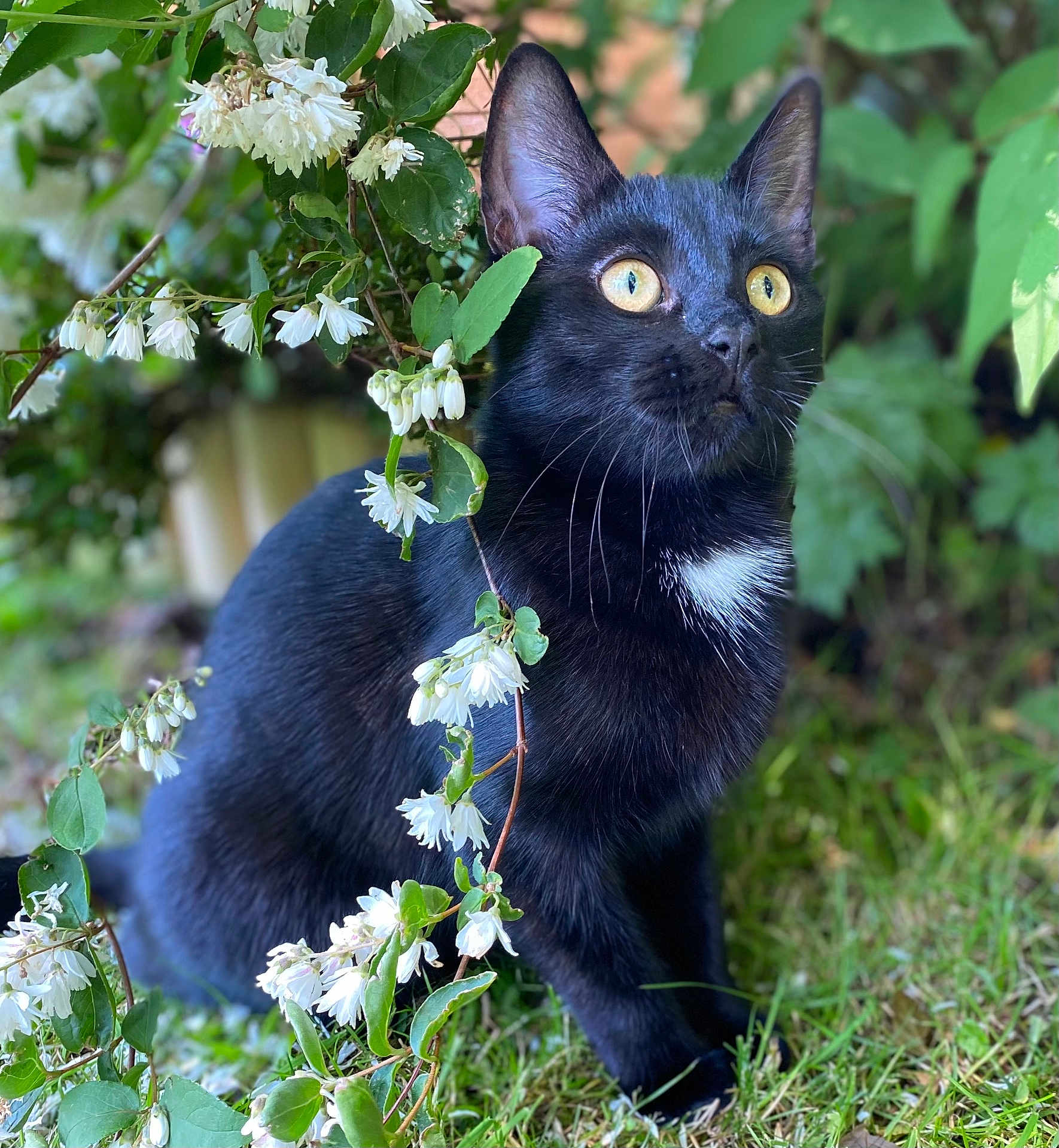 Luna