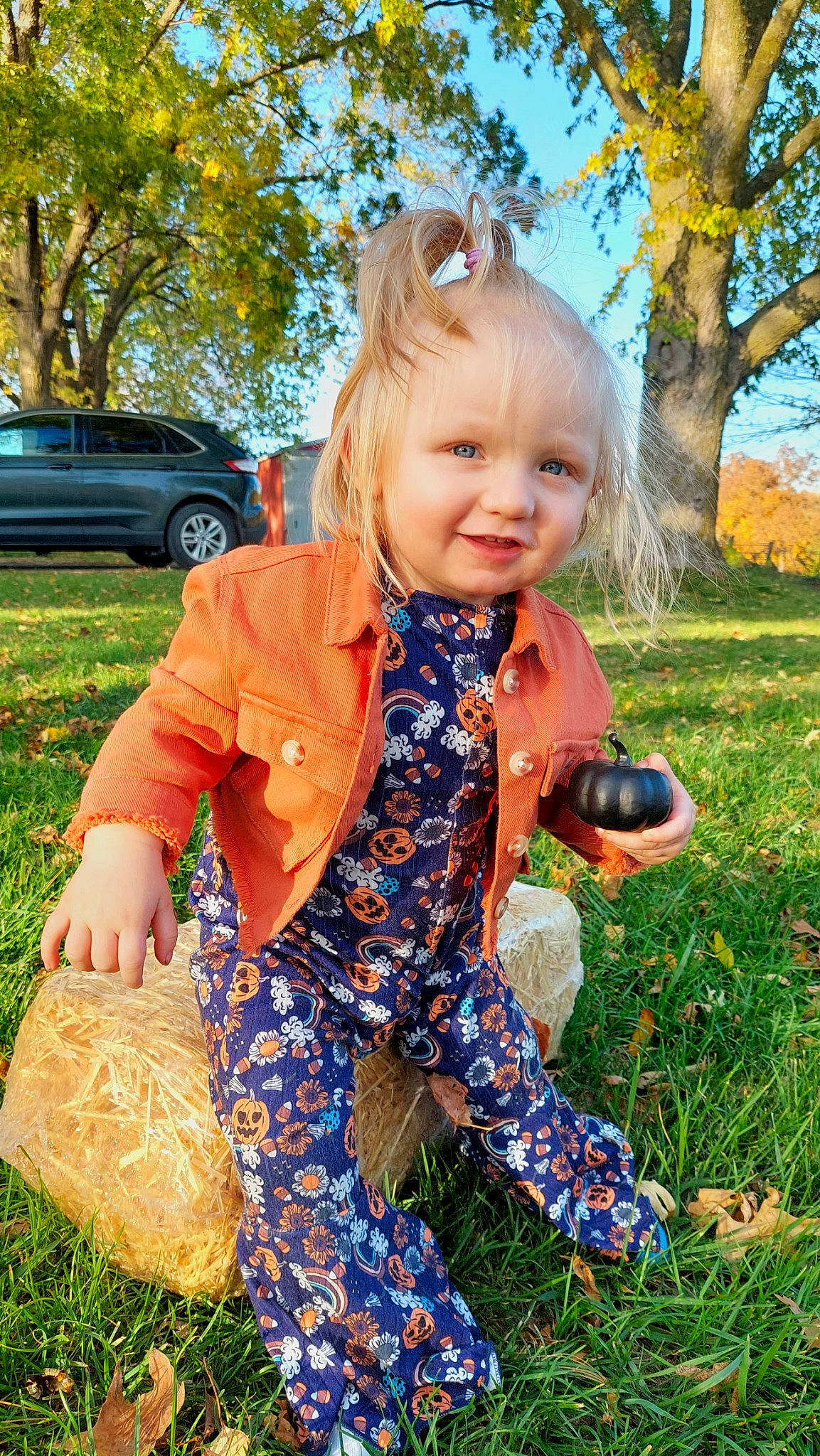 Ariel is registered to the contest to win money with this photo: baby_toddler_clothing, blond, car, child, electric_blue, fun, grass, happy, joy, pattern, people_in_nature, person, plant, pumpkin, sitting, sky, smile, summer, tire, toddler