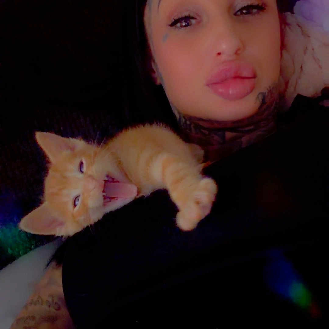 Phillip joined the competition — help win amazing prizes! person, cat, kitten, tattoo, couch, indoor, relaxing, yawning, orange_cat, black_clothing, face, arm, comfort, pet, animal, closeup, portrait, home, resting, cozy